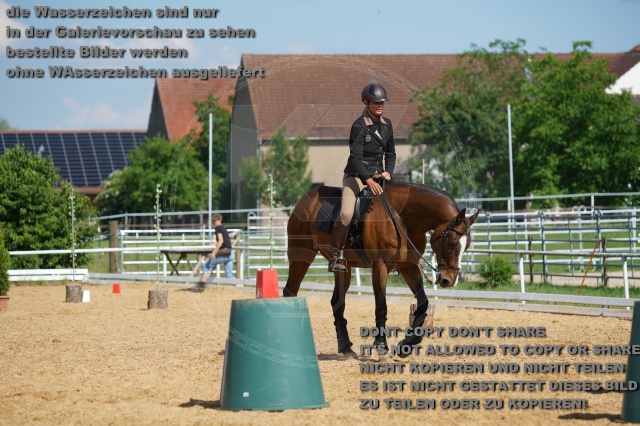 s_K3F06994.JPG